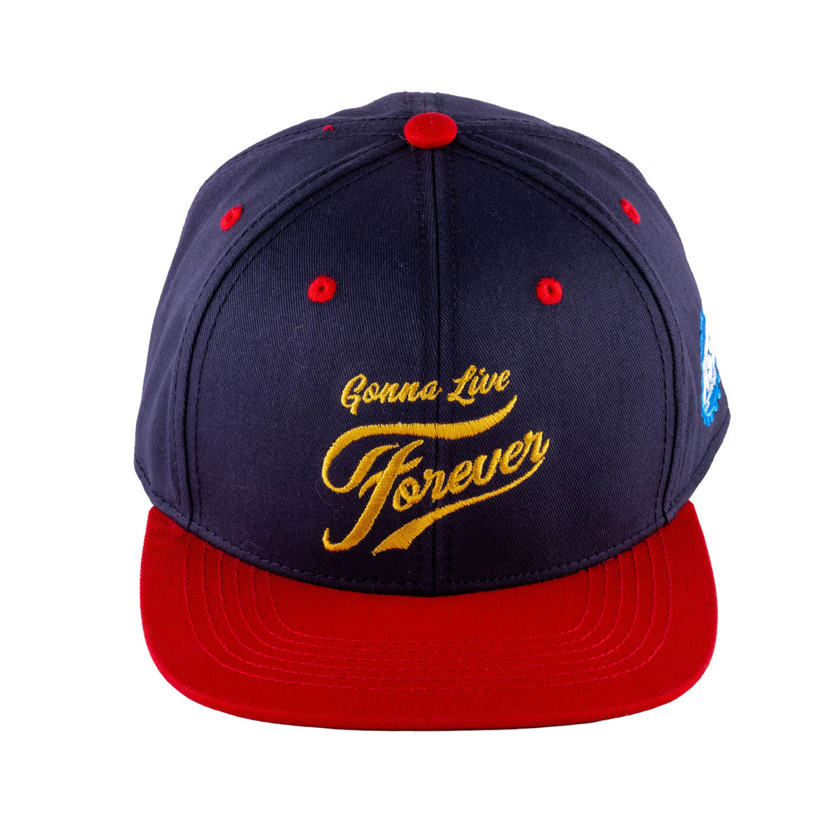 GONNA LIVE FOREVER HAT